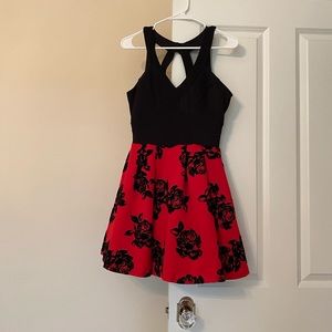 Red and Black Velvet Skater Dress